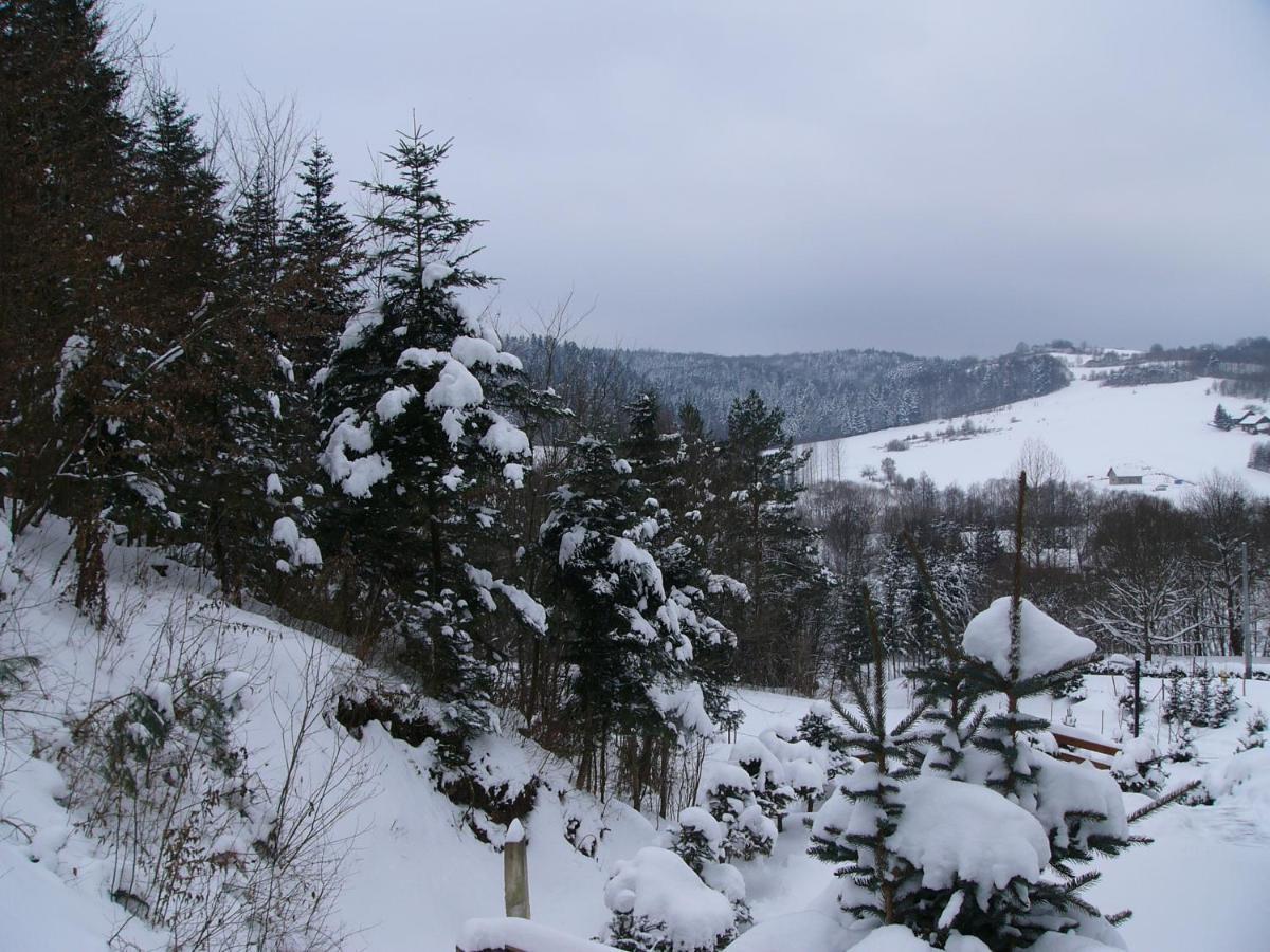 Agroturystyka - Agrodomek Nozdrzec Εξωτερικό φωτογραφία